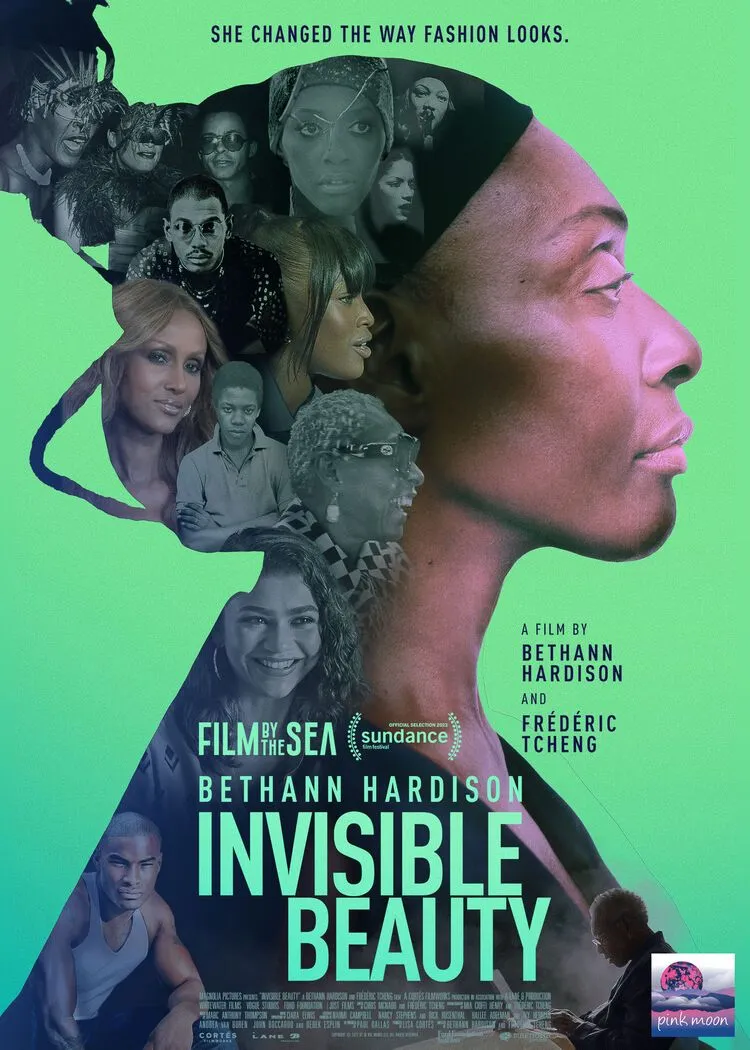 Invisible Beauty poster