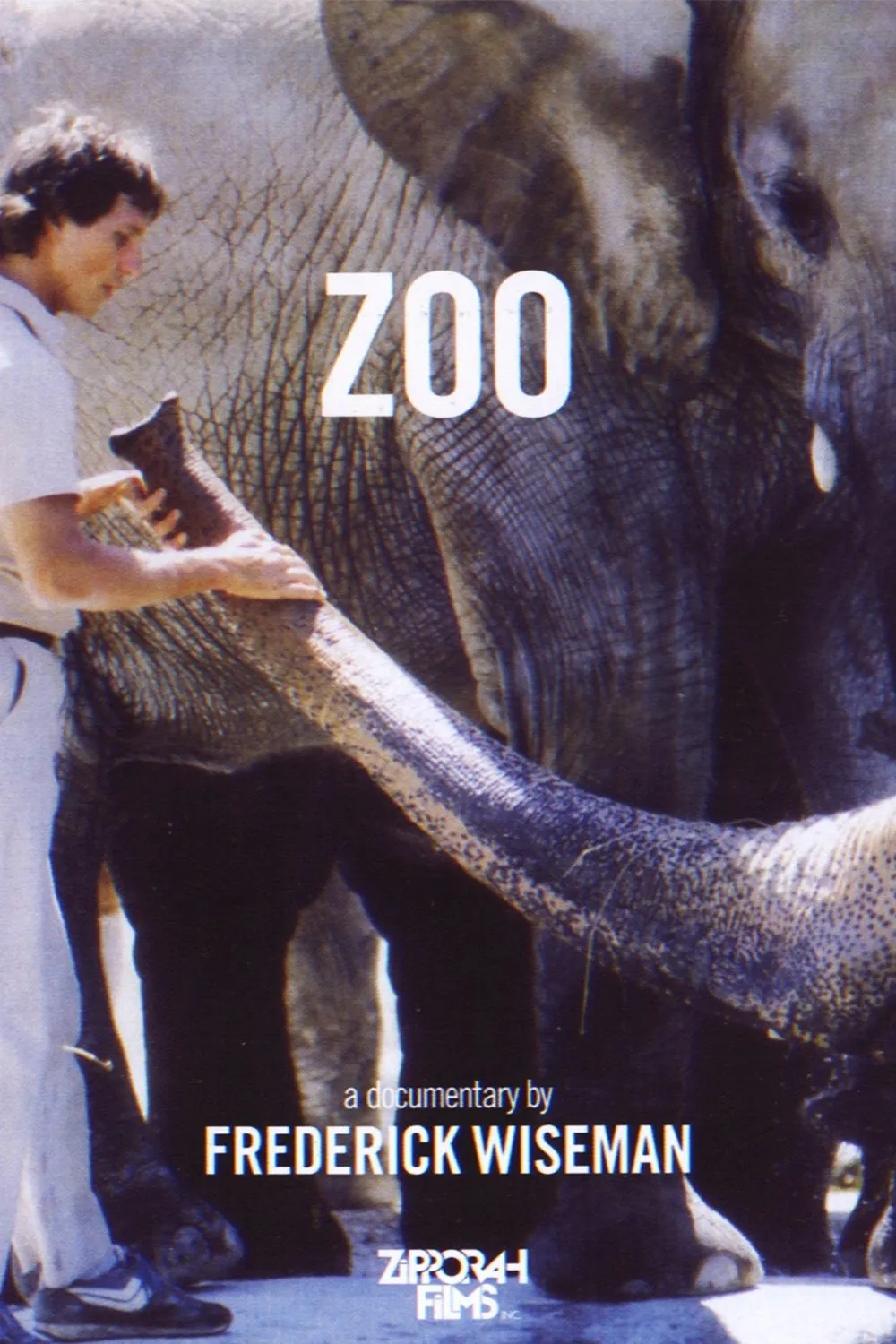 Zoo poster