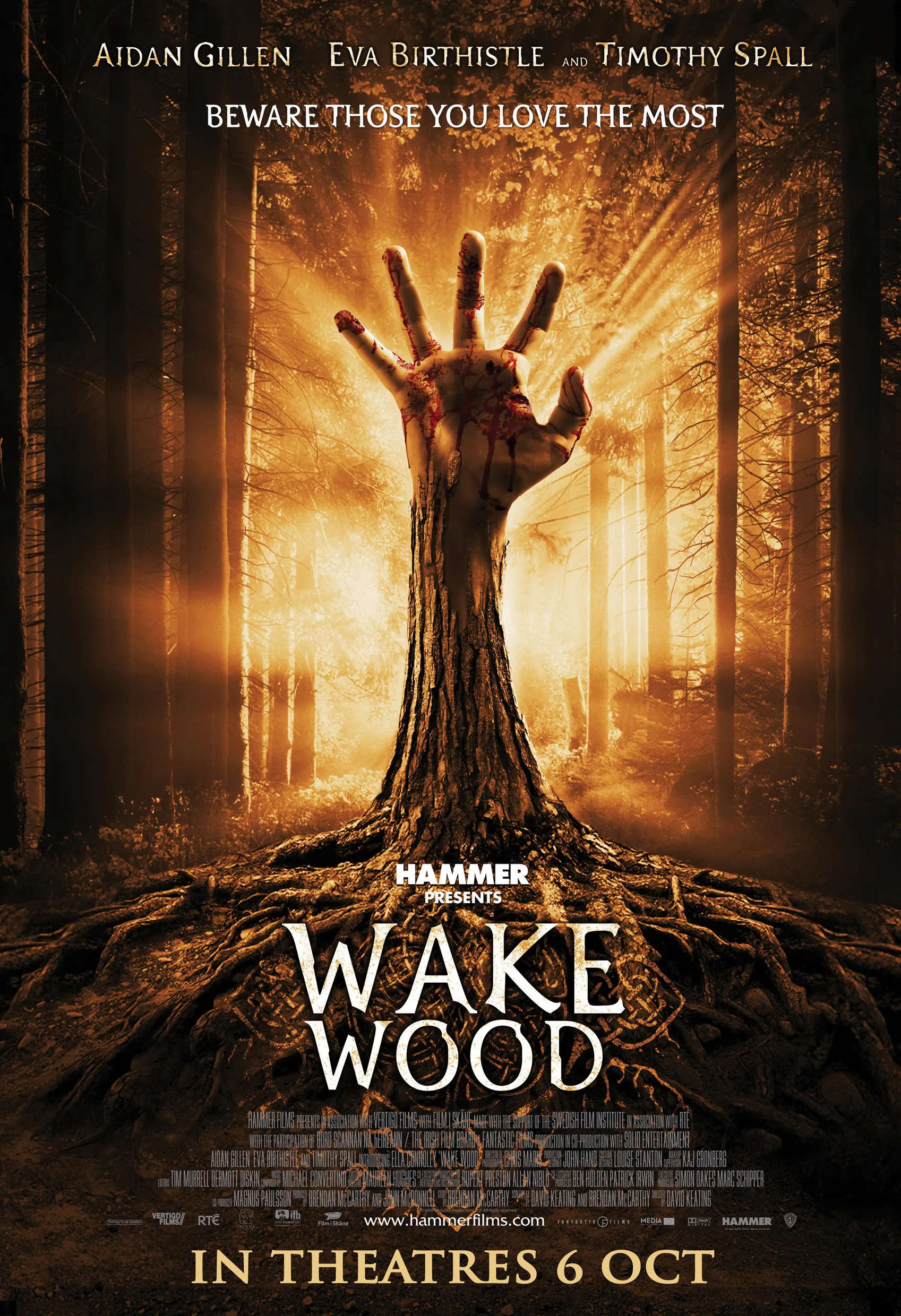 Wake Wood poster