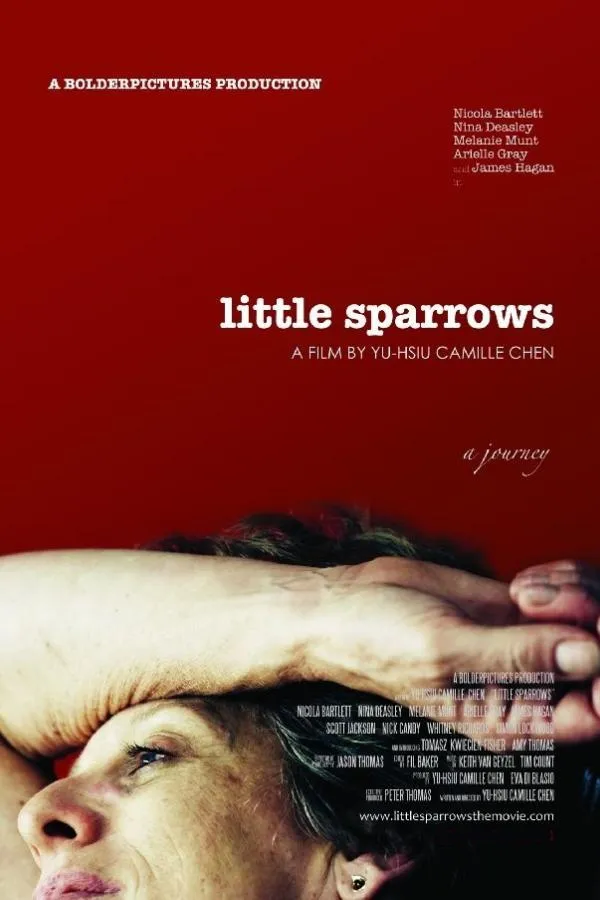 Little Sparrows poster