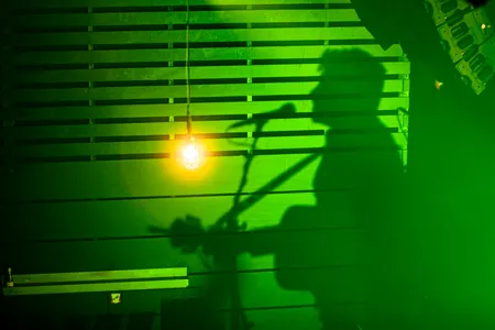 Woody Sings Ireland @ Effenaar