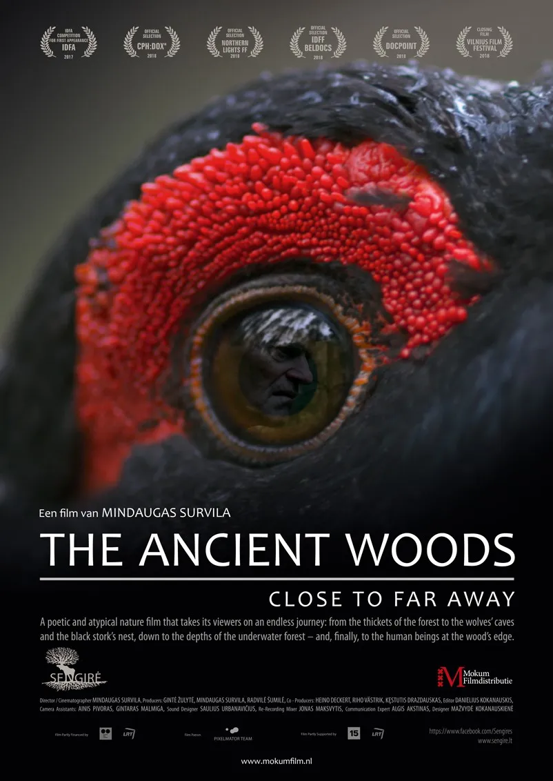 The Ancient Woods poster