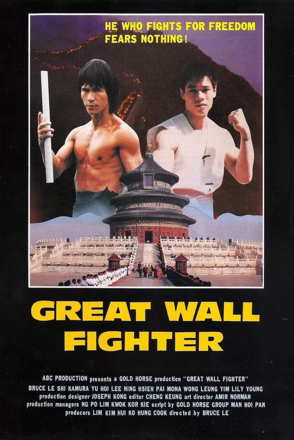 Ninja over the Great Wall poster