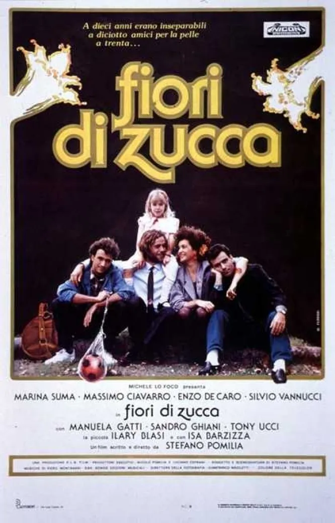 Fiori di zucca poster