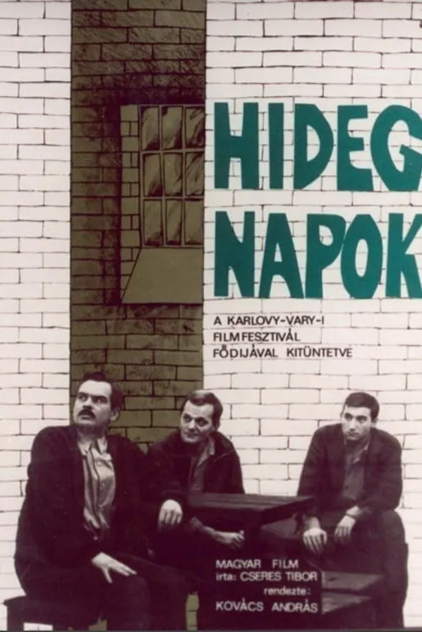 Hideg napok poster