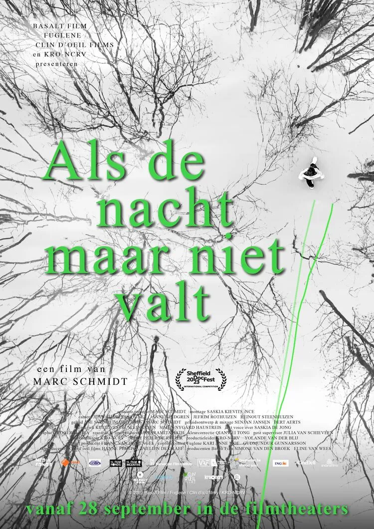 Als de nacht maar niet valt poster