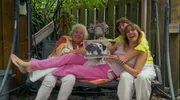 Roze bubbel still