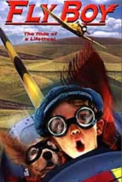 Fly Boy poster
