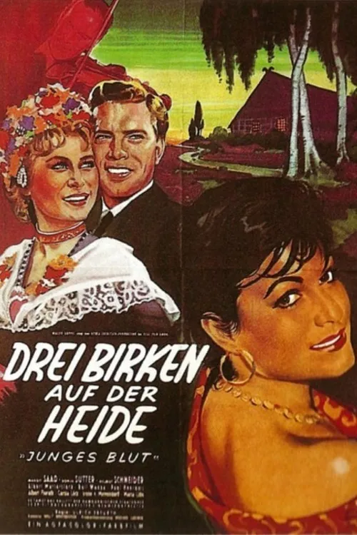 Drei Birken auf der Heide poster