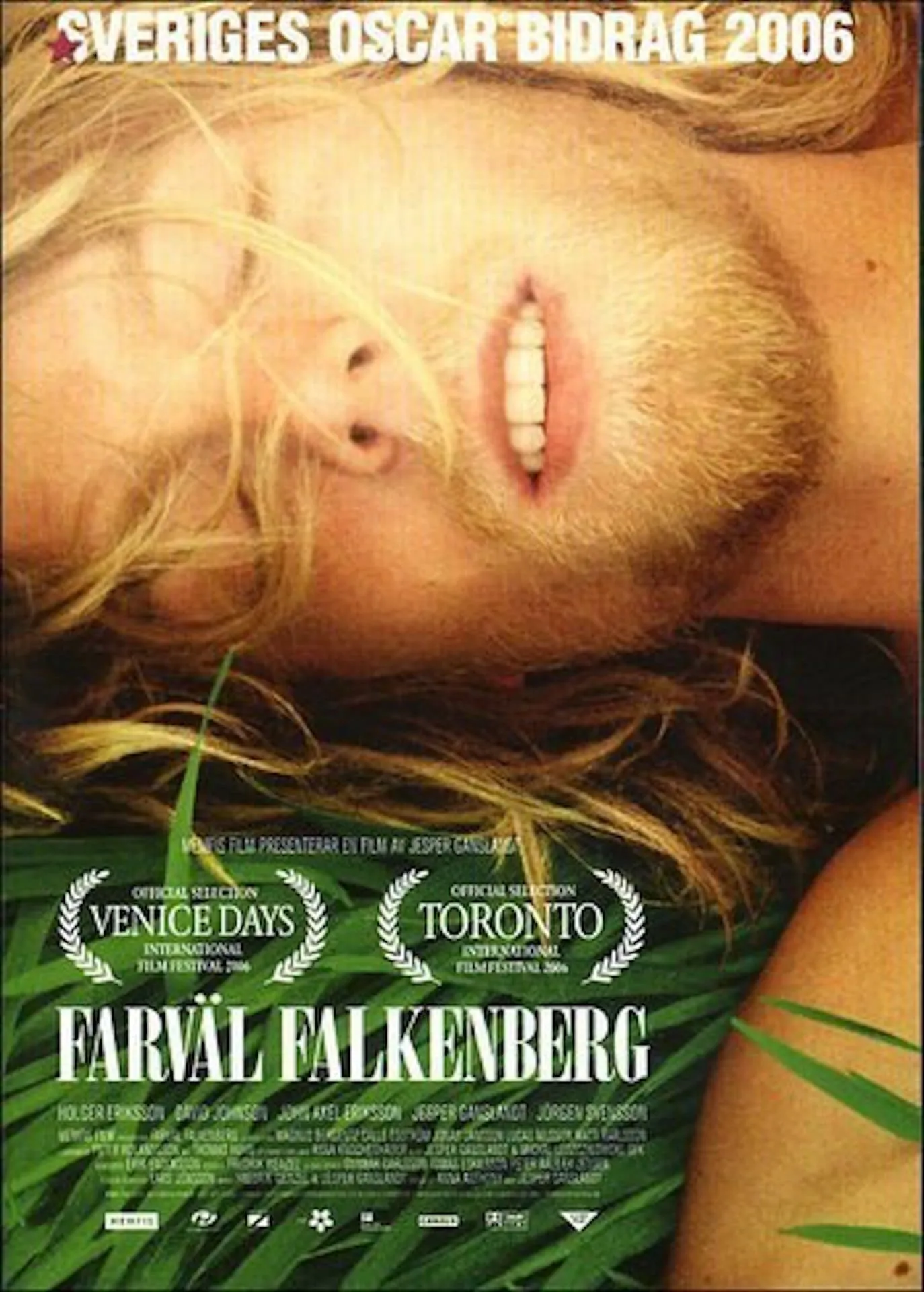 Falkenberg Farewell poster