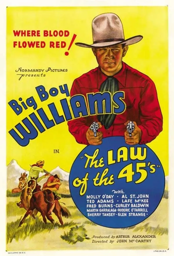 Law of the 45's poster