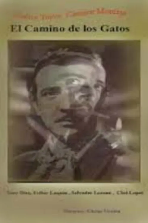 El Camino de los gatos poster