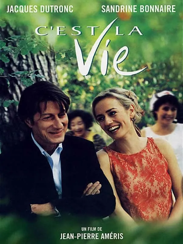 C'est la vie poster