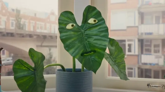 Een plant met een groot blad met daarop een gezichtje, de plant staat op de vensterbank voor een raam. In de achtergrond zien we een straat in stedelijk gebied.