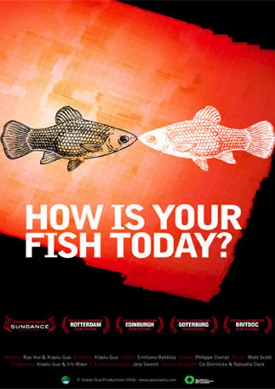 How Is Your Fish Today? poster