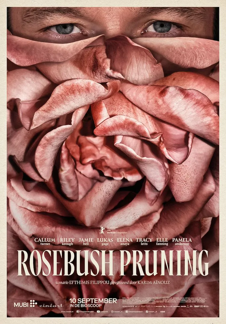 Rosebush Pruning poster