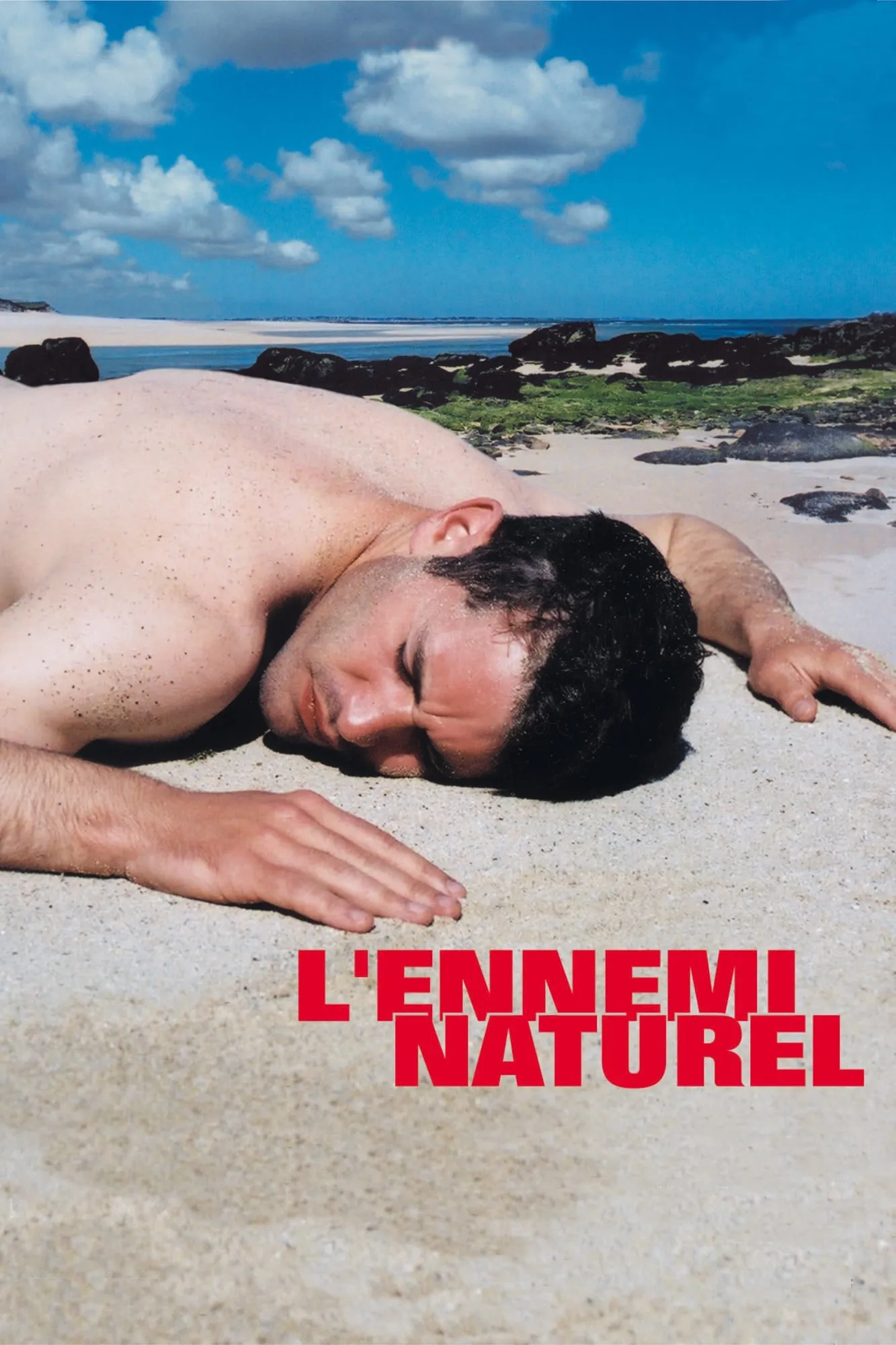 L'ennemi naturel poster