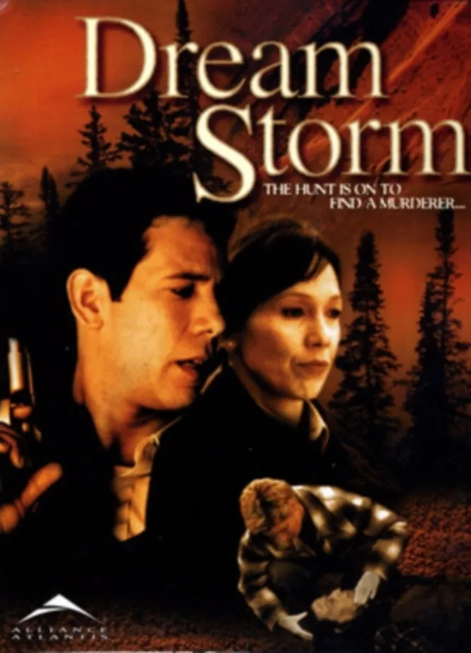 Dream Storm poster