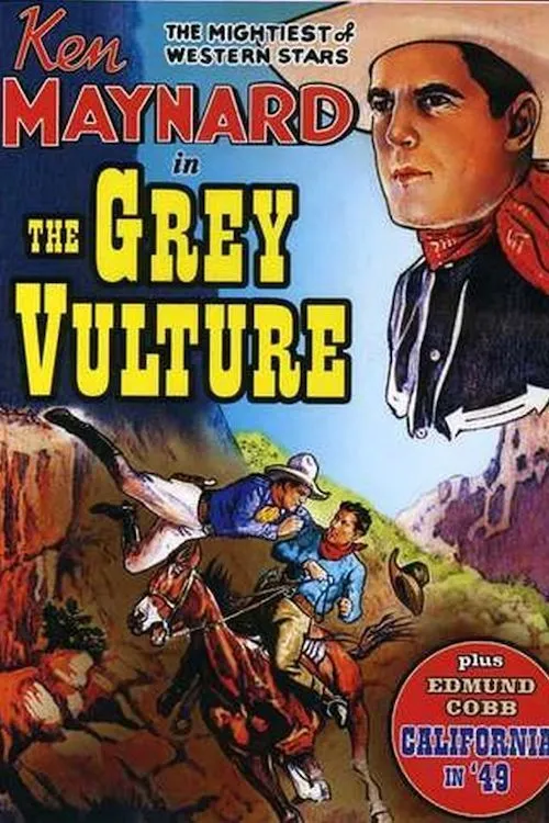 The Grey Vulture poster