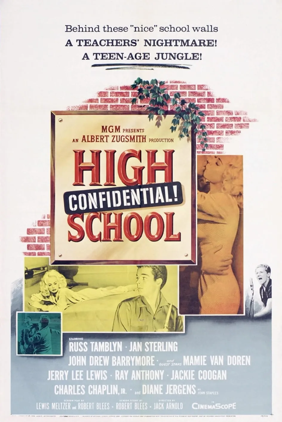 High School Confidential! poster