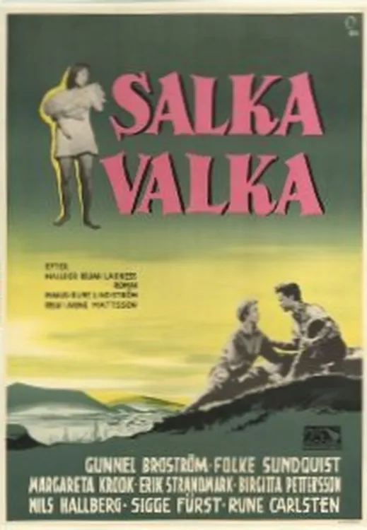Salka Valka poster