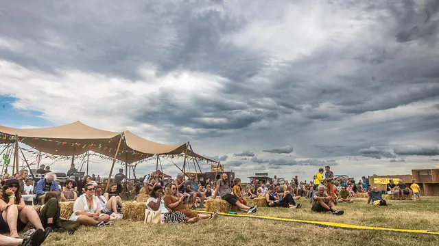 Hongerige Wolf - Schapenveld