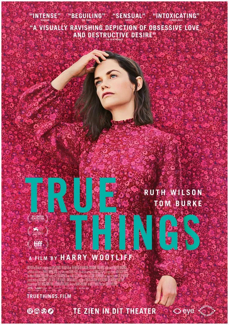 True Things poster