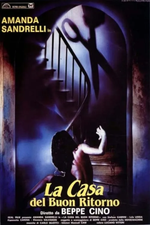 La casa del buon ritorno poster