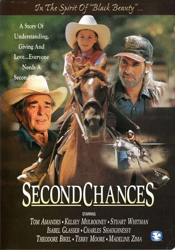Second Chances poster