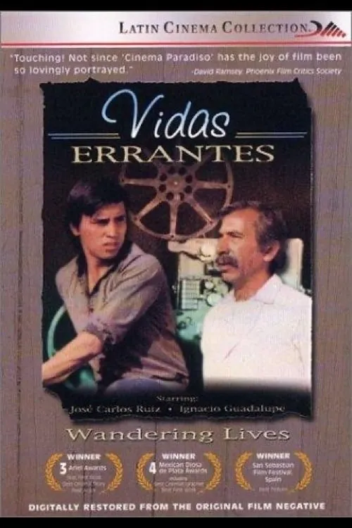Vidas errantes poster