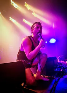 Pigs Pigs Pigs Pigs Pigs Pigs Pigs