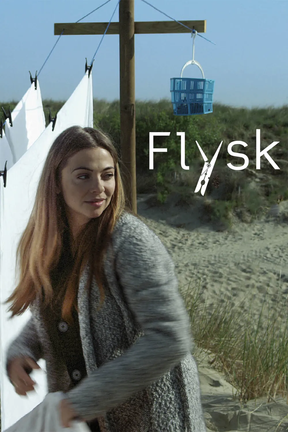 Flysk poster