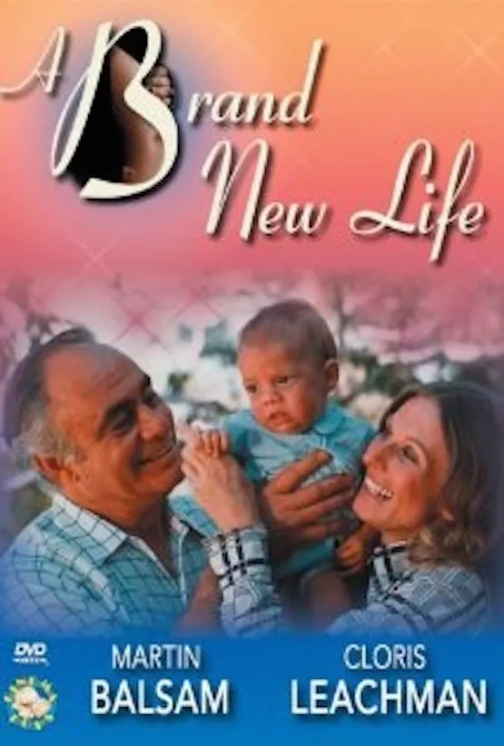 A Brand New Life poster