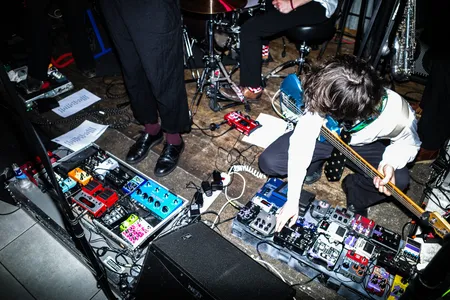 Grote Geelstaart bij Cat's Cult