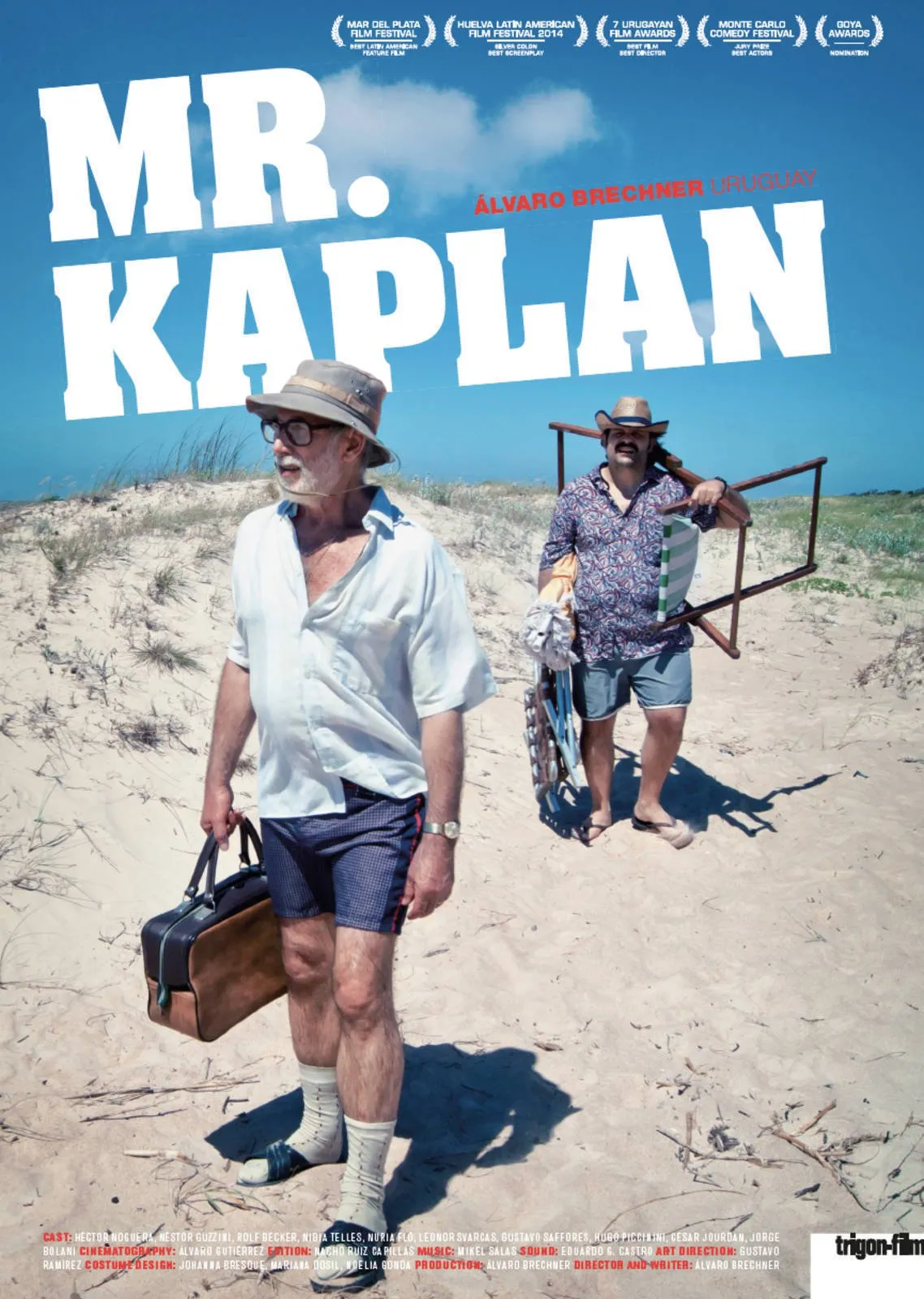 Mr. Kaplan poster