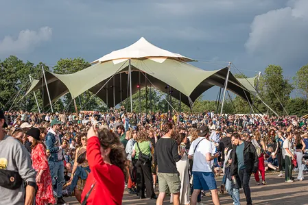 Down The Rabbit Hole