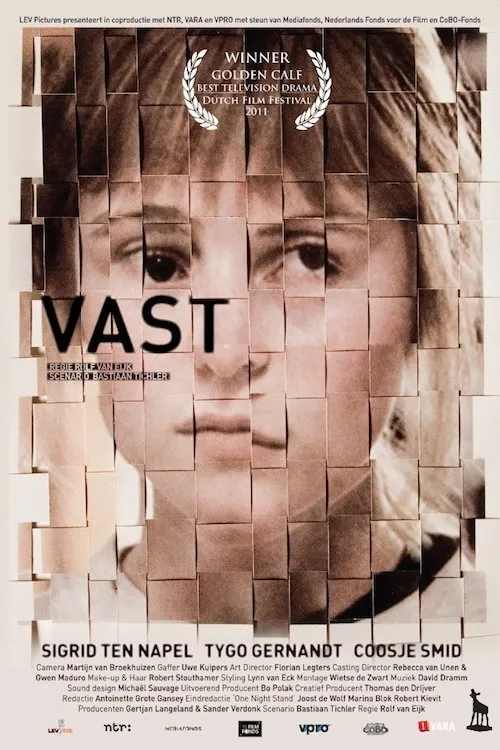 Vast poster