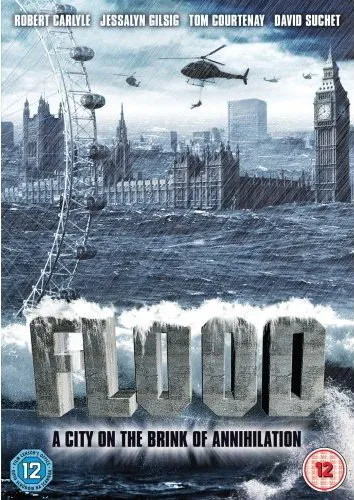 Flood poster
