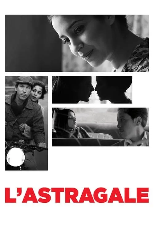L'astragale poster