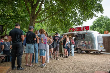 Down The Rabbit Hole