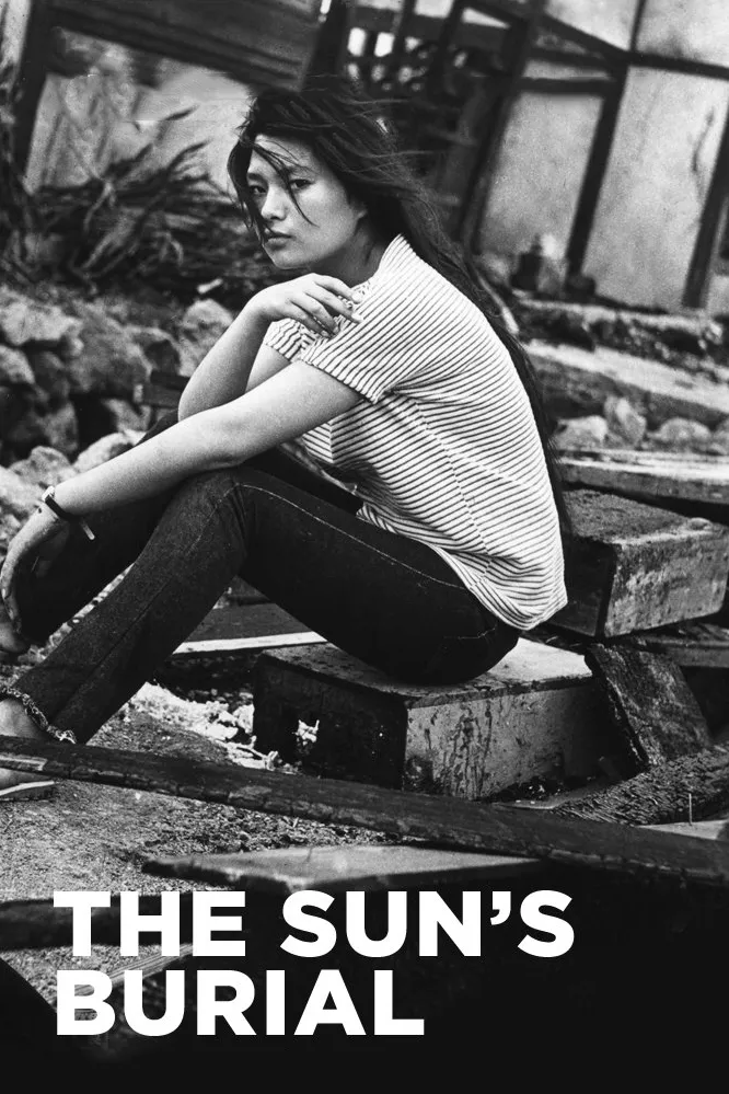 Taiyo no hakaba poster