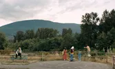 Beeld uit de film Blue Heron, het speelfilmdebuut van Sophy Romvari