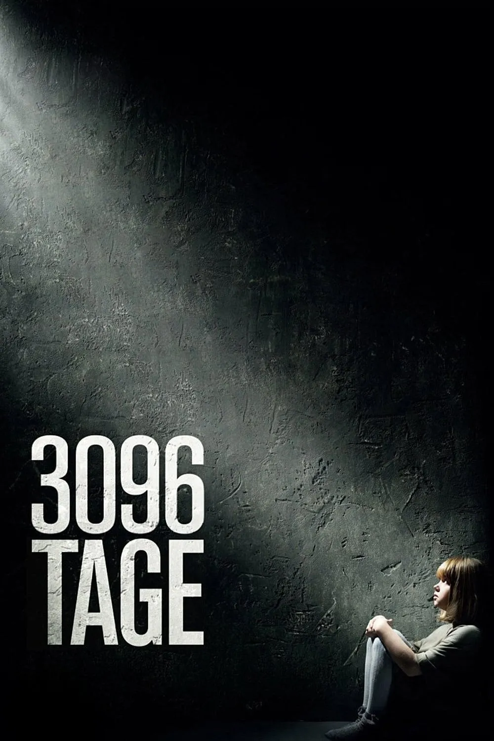 3096 Tage poster