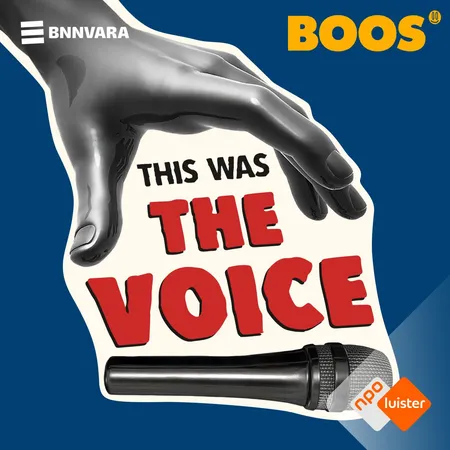 Podcasttegel van RADIO BOOS- This was The Voice