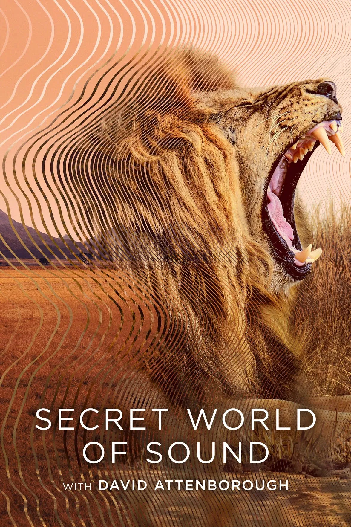 Secret World of Sound with David Attenborough poster
