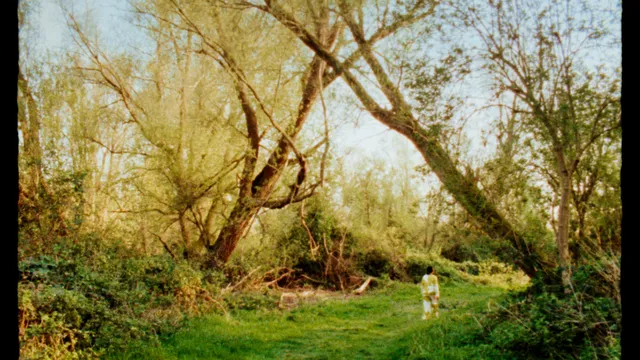 Marcella is haar zicht verloren