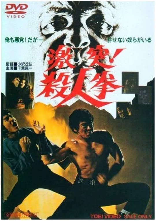 The Streetfighter poster
