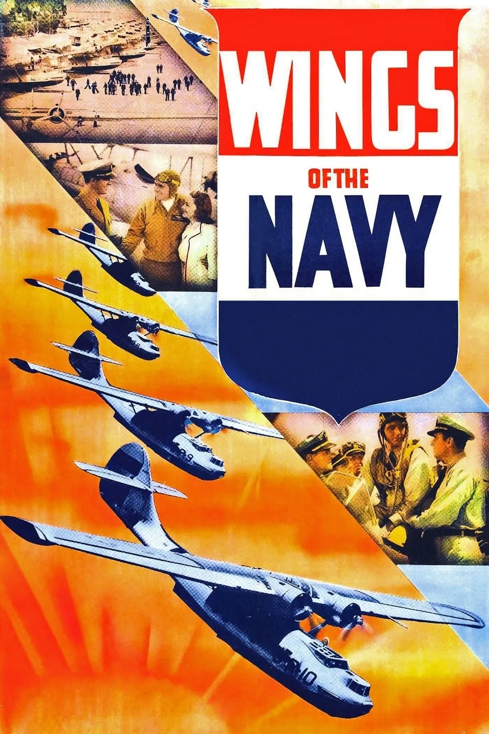 Wings Of The Navy poster