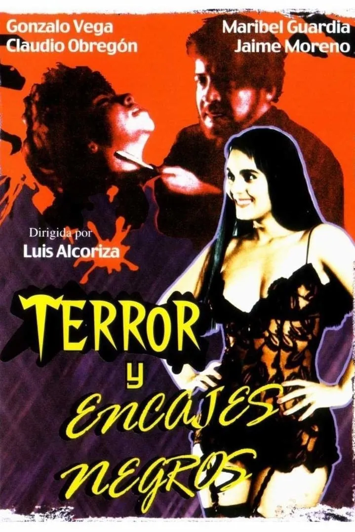 Terror y encajes negros poster