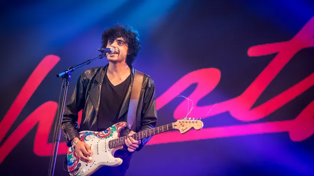 Harts op Pinkpop 2016